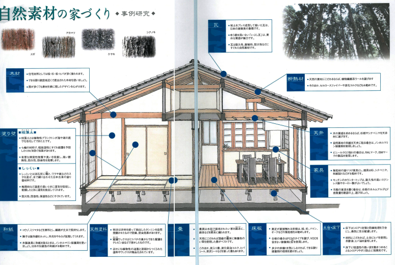 断面