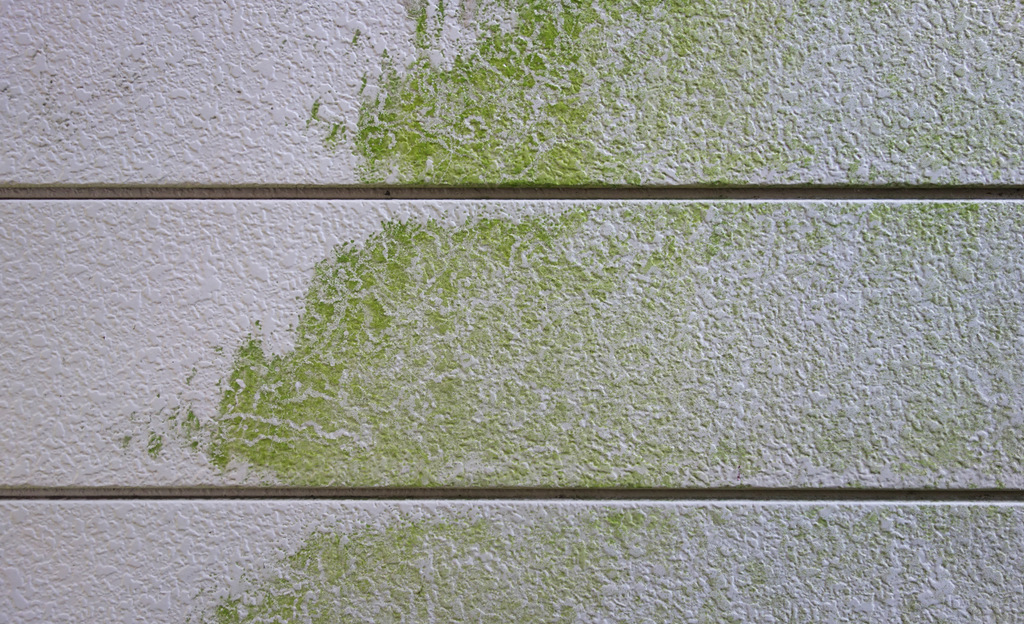 （2）雨・太陽光が外壁に直接当たり汚れやすい・劣化しやすい